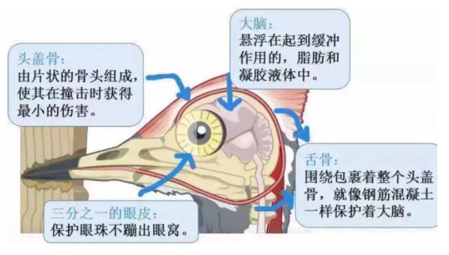 昆明安全帽，安全買冷知識你知道嗎？